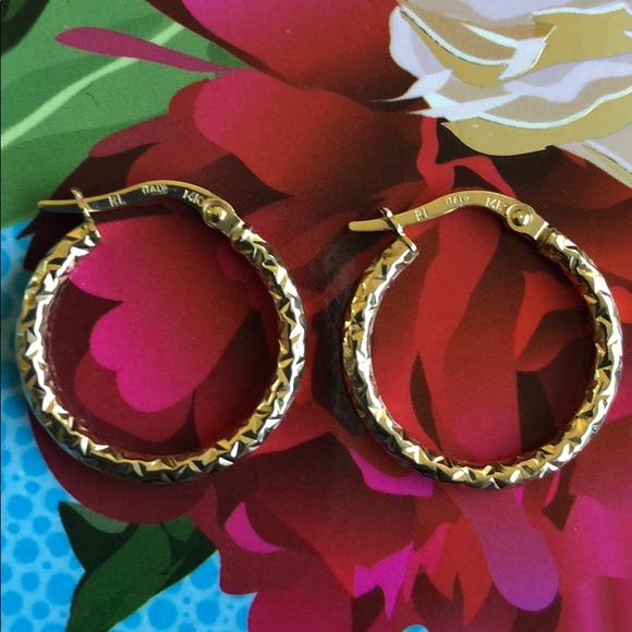 🎅🏼✨14K Gold Hoop Earrings🎄🎁 - Picture 1 of 5